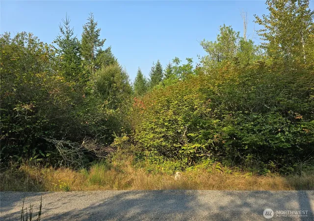 Photo 1 of Land for sale at 13849 Starflower Ln Se, Yelm, WA 98597 | MLS# NWM2540281 | Listing updated on 2026-09-22