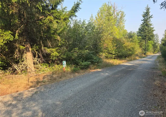 Photo 2 of Land for sale at 13849 Starflower Ln Se, Yelm, WA 98597 | MLS# NWM2540281 | Listing updated on 2026-09-22