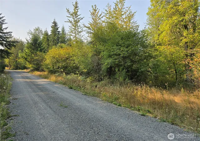 Photo 3 of Land for sale at 13849 Starflower Ln Se, Yelm, WA 98597 | MLS# NWM2540281 | Listing updated on 2026-09-22