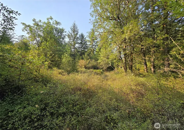 Photo 3 of Land for sale at 13849 Starflower Ln SE, Yelm, WA 98597 | MLS# NWM2540281 | Listing updated on 2026-09-22
