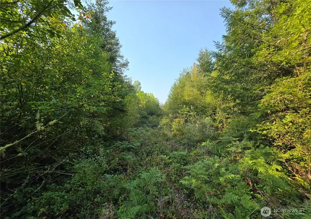 Photo 4 of Land for sale at 13849 Starflower Ln SE, Yelm, WA 98597 | MLS# NWM2540281 | Listing updated on 2026-09-22