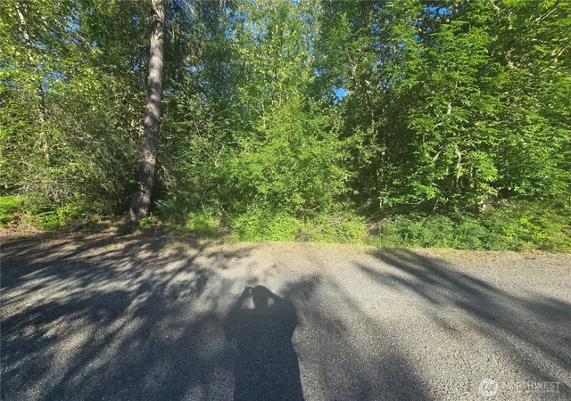 Photo 1 of Land for sale at 13823 Starflower Ln Se, Yelm, WA 98597 | MLS# NWM2540301 | Listing updated on 2026-09-22
