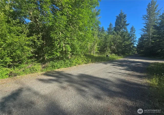 Photo 3 of Land for sale at 13823 Starflower Ln Se, Yelm, WA 98597 | MLS# NWM2540301 | Listing updated on 2026-09-22