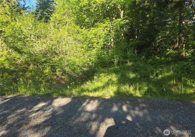 Photo 1 of Land for sale at 13811 Starflower Ln Se, Yelm, WA 98597 | MLS# NWM2540311 | Listing updated on 2026-09-22