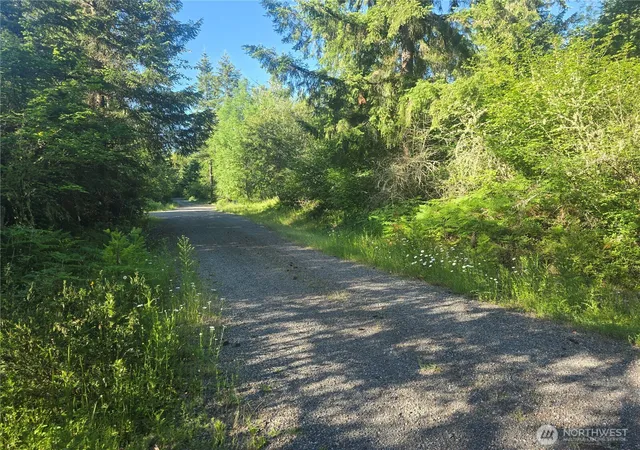 Photo 2 of Land for sale at 13811 Starflower Ln Se, Yelm, WA 98597 | MLS# NWM2540311 | Listing updated on 2026-09-22