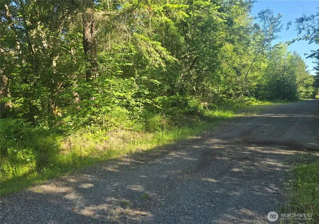 Photo 3 of Land for sale at 13811 Starflower Ln Se, Yelm, WA 98597 | MLS# NWM2540311 | Listing updated on 2026-09-22