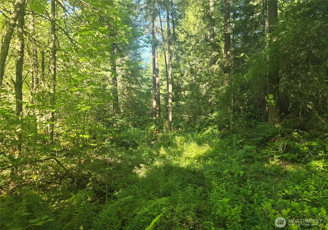 Photo 3 of Land for sale at 13811 Starflower Ln SE, Yelm, WA 98597 | MLS# NWM2540311 | Listing updated on 2026-09-22
