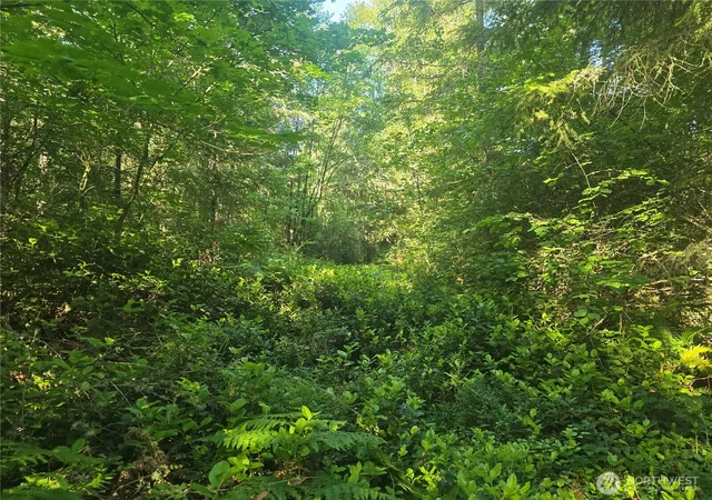 Photo 4 of Land for sale at 13811 Starflower Ln SE, Yelm, WA 98597 | MLS# NWM2540311 | Listing updated on 2026-09-22