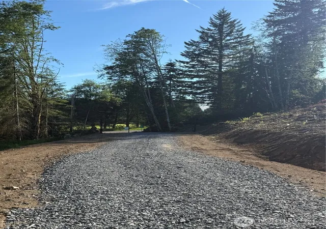 Photo 3 of Sale Pending at 215 Mineral Rd N, Mineral, WA 98355 | MLS# NWM2540318 | Listing updated on 2026-09-29