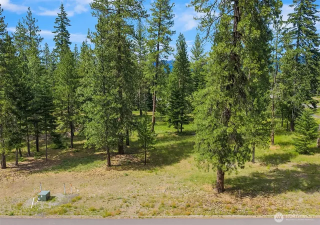 Photo 4 of Land for sale at 51 Domerie Park Loop, Cle Elum, WA 98922 | MLS# NWM2540320 | Listing updated on 2026-09-22