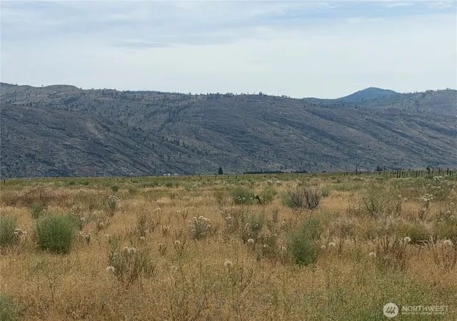 Photo 3 of Land for sale at 152 Green Acres Rd, Riverside, WA 98849 | MLS# NWM2540327 | Listing updated on 2026-09-22