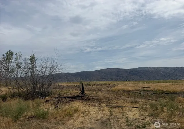 Photo 4 of Land for sale at 152 Green Acres Rd, Riverside, WA 98849 | MLS# NWM2540327 | Listing updated on 2026-09-22