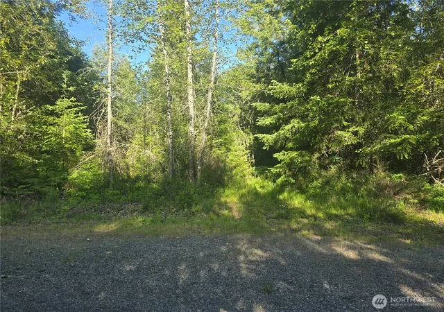 Photo 1 of Land for sale at 13721 Starflower Ln Se, Yelm, WA 98597 | MLS# NWM2540328 | Listing updated on 2026-09-22