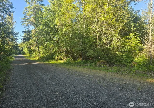 Photo 2 of Land for sale at 13721 Starflower Ln Se, Yelm, WA 98597 | MLS# NWM2540328 | Listing updated on 2026-09-22