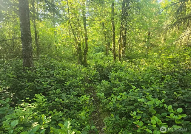Photo 3 of Land for sale at 13721 Starflower Ln Se, Yelm, WA 98597 | MLS# NWM2540328 | Listing updated on 2026-09-22