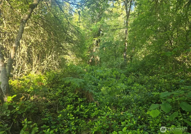 Photo 3 of Land for sale at 13721 Starflower Ln SE, Yelm, WA 98597 | MLS# NWM2540328 | Listing updated on 2026-09-22
