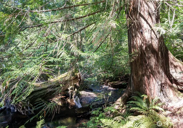 Photo 3 of Land for sale at 124 E Olde Lyme Rd, Shelton, WA 98584 | MLS# NWM2540337 | Listing updated on 2026-09-28