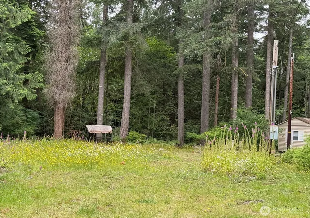 Photo 3 of Land for sale at 124 E Olde Lyme Rd, Shelton, WA 98584 | MLS# NWM2540337 | Listing updated on 2026-09-28