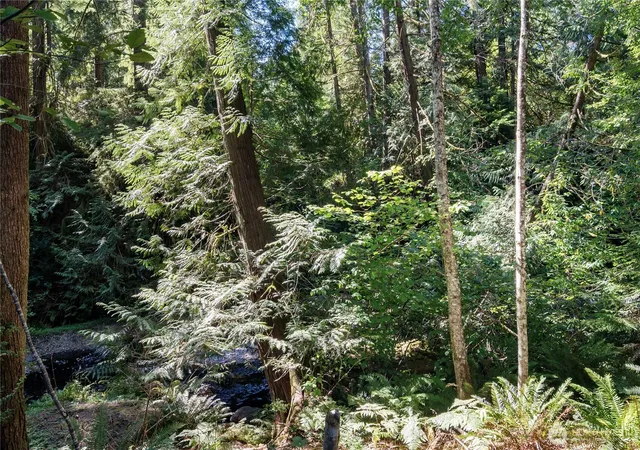 Photo 4 of Land for sale at 124 E Olde Lyme Rd, Shelton, WA 98584 | MLS# NWM2540337 | Listing updated on 2026-09-28
