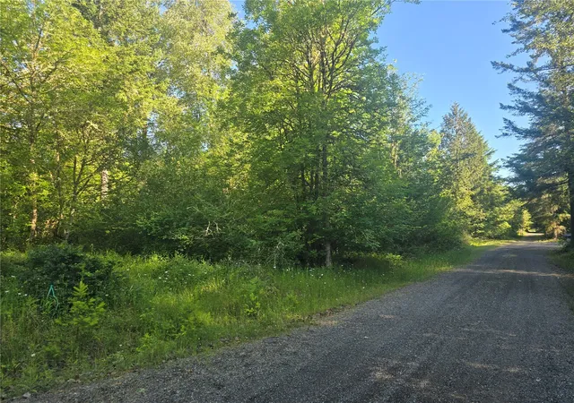 Photo 1 of Land for sale at 13701 Starflower Ln Se, Yelm, WA 98597 | MLS# NWM2540342 | Listing updated on 2026-09-22