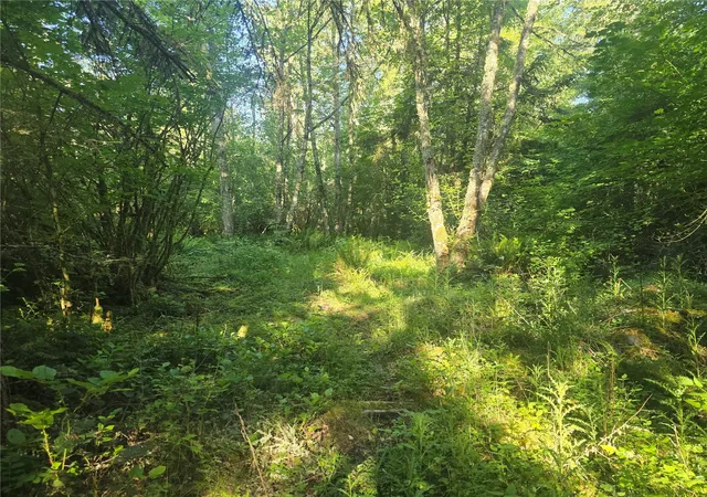 Photo 2 of Land for sale at 13701 Starflower Ln Se, Yelm, WA 98597 | MLS# NWM2540342 | Listing updated on 2026-09-22