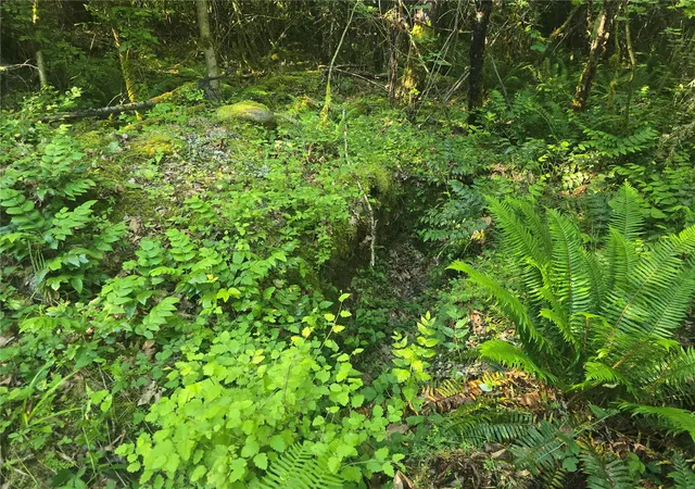 Photo 3 of Land for sale at 13701 Starflower Ln Se, Yelm, WA 98597 | MLS# NWM2540342 | Listing updated on 2026-09-22