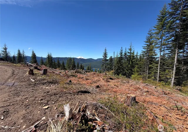 Photo 2 of Sale Pending at 0 Fs Rd 124, Snoqualmie Pass, WA 98068 | MLS# NWM2540389 | Listing updated on 2026-09-25