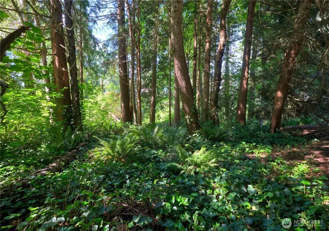 Photo 3 of Land for sale at 0 Lot 67 Province Rd, Point Roberts, WA 98281 | MLS# NWM2540496 | Listing updated on 2026-09-22