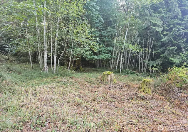 Photo 3 of Land for sale at 2540 E Xxx N Is Dr, Shelton, WA 98584 | MLS# NWM2540602 | Listing updated on 2026-09-22