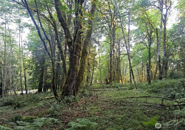 Photo 4 of Land for sale at 2540 E Xxx N Is Dr, Shelton, WA 98584 | MLS# NWM2540602 | Listing updated on 2026-09-22