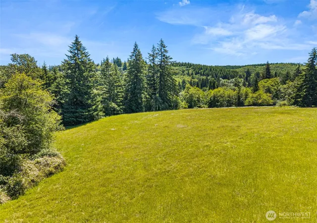 Photo 1 of Land for sale at 0 Ramsey Rd, Adna, WA 98522 | MLS# NWM2540664 | Listing updated on 2026-09-22
