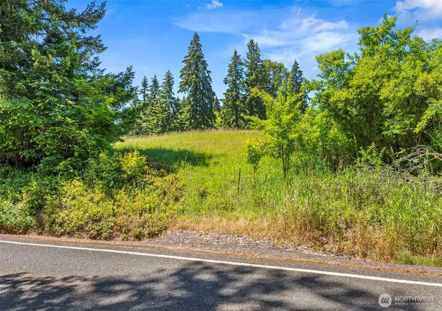 Photo 4 of Land for sale at 0 Ramsey Rd, Adna, WA 98522 | MLS# NWM2540664 | Listing updated on 2026-09-22
