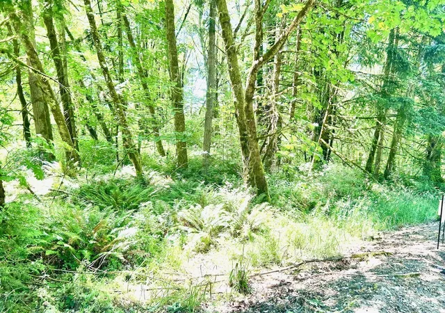 Photo 4 of Sale Pending at 577 Martins Blf Rd, Kalama, WA 98625 | MLS# NWM2540762 | Listing updated on 2026-09-27