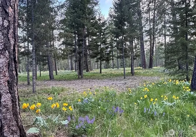 Photo 1 of Sale Pending at 331 Wanawish Loop, Cle Elum, WA 98922 | MLS# NWM2540961 | Listing updated on 2026-09-01