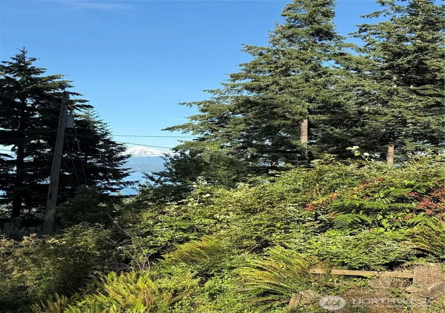 Photo 1 of Land for sale at 2959 Dogwood Ter, Lummi Island, WA 98262 | MLS# NWM2541102 | Listing updated on 2026-09-22