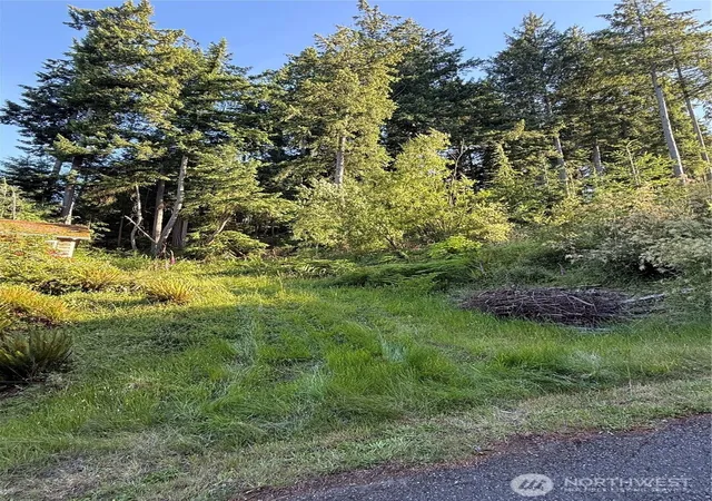 Photo 3 of Land for sale at 2959 Dogwood Ter, Lummi Island, WA 98262 | MLS# NWM2541102 | Listing updated on 2026-09-22