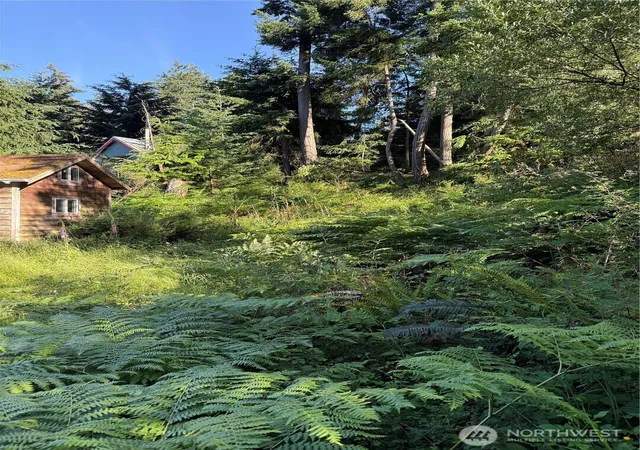 Photo 4 of Land for sale at 2959 Dogwood Ter, Lummi Island, WA 98262 | MLS# NWM2541102 | Listing updated on 2026-09-22