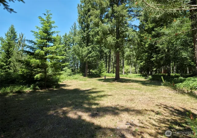 Photo 1 of Land for sale at 0 Loowit Ln, Cougar, WA 98616 | MLS# NWM2541133 | Listing updated on 2026-09-22