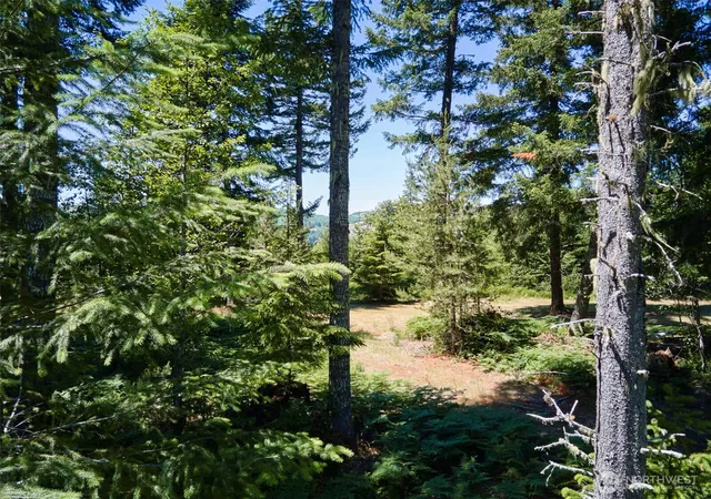 Photo 3 of Land for sale at 0 Loowit Ln, Cougar, WA 98616 | MLS# NWM2541133 | Listing updated on 2026-09-22
