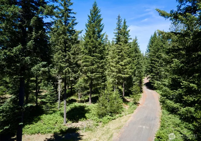 Photo 3 of Land for sale at 0 Loowit Ln, Cougar, WA 98616 | MLS# NWM2541133 | Listing updated on 2026-09-22