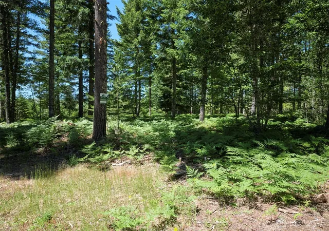 Photo 4 of Land for sale at 0 Loowit Ln, Cougar, WA 98616 | MLS# NWM2541133 | Listing updated on 2026-09-22
