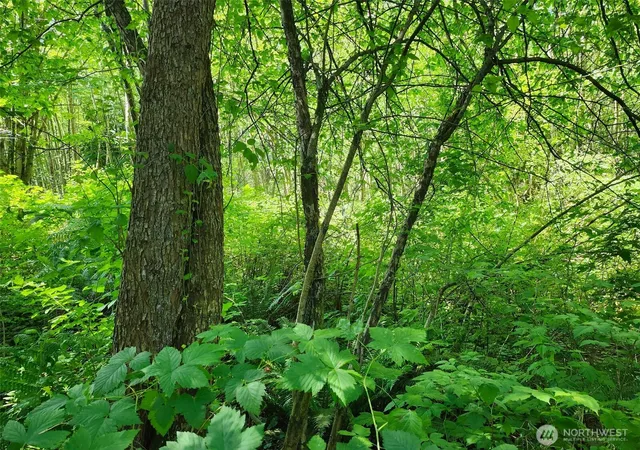 Photo 2 of Land for sale at 0 188th Street Ne, Arlington, WA 98223 | MLS# NWM2541241 | Listing updated on 2026-09-22