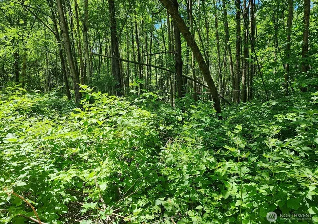 Photo 3 of Land for sale at 0 188th Street Ne, Arlington, WA 98223 | MLS# NWM2541241 | Listing updated on 2026-09-22