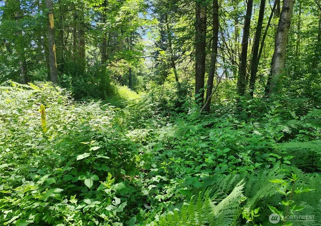 Photo 3 of Land for sale at 0 188th Street NE, Arlington, WA 98223 | MLS# NWM2541241 | Listing updated on 2026-09-22