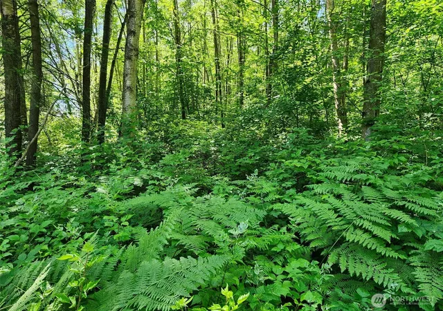 Photo 4 of Land for sale at 0 188th Street NE, Arlington, WA 98223 | MLS# NWM2541241 | Listing updated on 2026-09-22