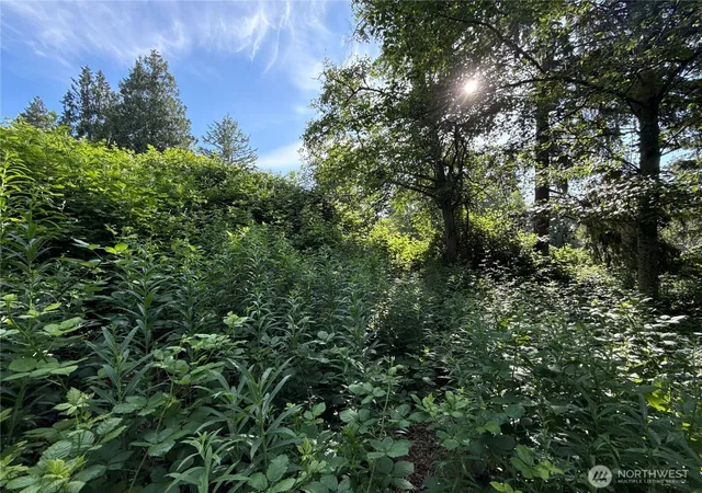Photo 1 of Land for sale at 2229 97th Street Se, Lake Stevens, WA 98258 | MLS# NWM2541248 | Listing updated on 2026-09-17