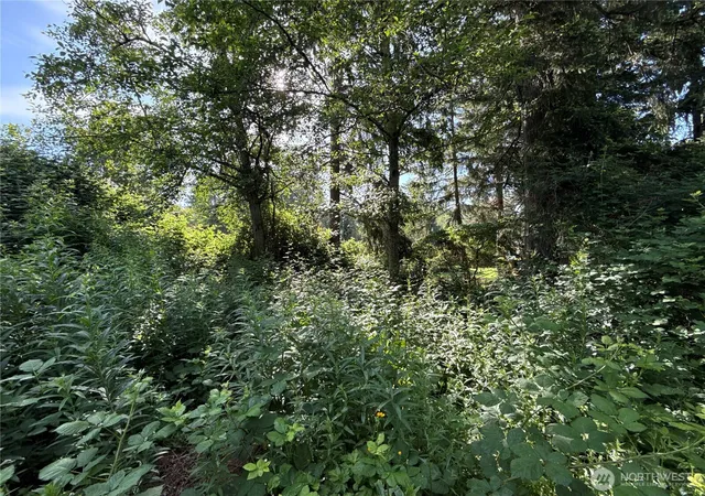 Photo 2 of Land for sale at 2229 97th Street Se, Lake Stevens, WA 98258 | MLS# NWM2541248 | Listing updated on 2026-09-17