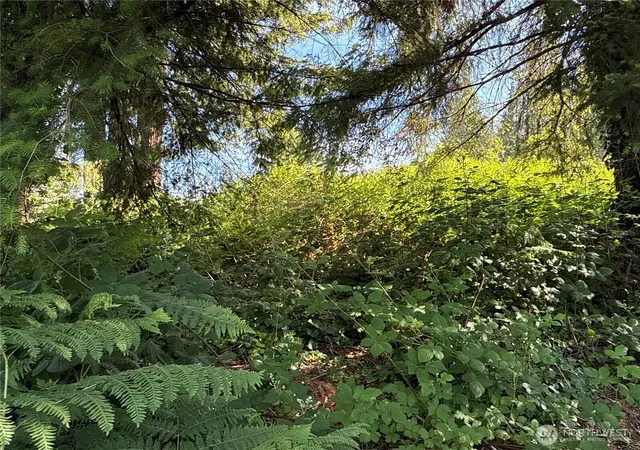 Photo 3 of Land for sale at 2229 97th Street Se, Lake Stevens, WA 98258 | MLS# NWM2541248 | Listing updated on 2026-09-17