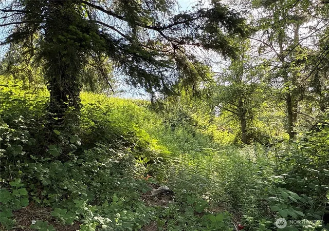 Photo 3 of Land for sale at 2229 97th Street SE, Lake Stevens, WA 98258 | MLS# NWM2541248 | Listing updated on 2026-09-17