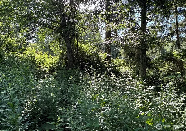 Photo 4 of Land for sale at 2229 97th Street SE, Lake Stevens, WA 98258 | MLS# NWM2541248 | Listing updated on 2026-09-17